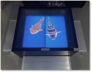 BG大游·(集团)视讯官方网站